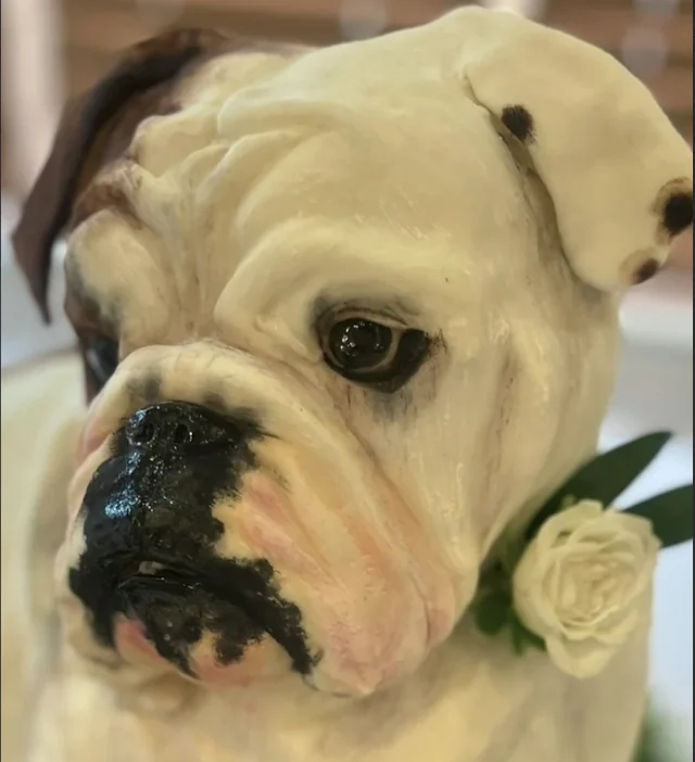 Hyper-realistic bulldog sculpted cake
